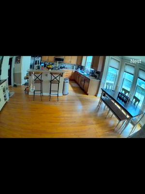 The floors have never been cleaner 😂 